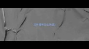 活体猫咪怎么快递