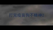打完疫苗狗不精神