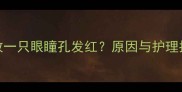 边牧一只眼瞳孔发红原因与护理指南