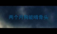 两个月狗能啃骨头