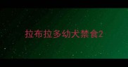 拉布拉多幼犬禁食