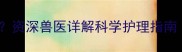 边牧换牙期牙齿松动怎么办资深兽医详解科学护理指南附症状识别与预防方案