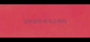 边牧颜色很浅正常吗