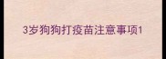 3岁狗狗打疫苗注意事项