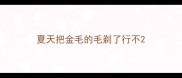 夏天把金毛的毛剃了行不