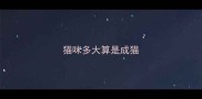 猫咪多大算是成猫