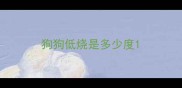 狗狗低烧是多少度