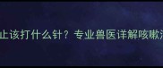 狗狗咳嗽不止该打什么针专业兽医详解咳嗽治疗全流程