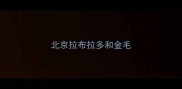 北京拉布拉多和金毛