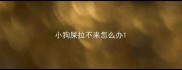 小狗屎拉不来怎么办