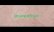 边牧鼻梁是红色吗