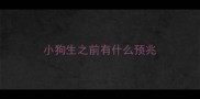 小狗生之前有什么预兆