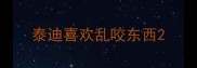 泰迪喜欢乱咬东西
