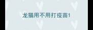 龙猫用不用打疫苗