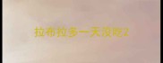 拉布拉多一天没吃