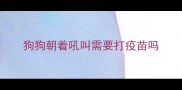 狗狗朝着吼叫需要打疫苗吗