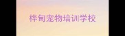 桦甸宠物培训学校