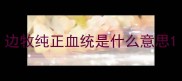 边牧纯正血统是什么意思