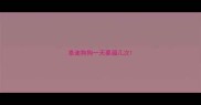 泰迪狗狗一天要溜几次