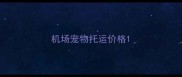 机场宠物托运价格