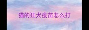 猫的狂犬疫苗怎么打