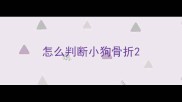 怎么判断小狗骨折