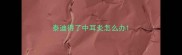 泰迪得了中耳炎怎么办