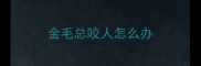 金毛总咬人怎么办