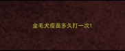 金毛犬疫苗多久打一次