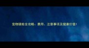 宠物镜检全攻略费用注意事项及健康价值