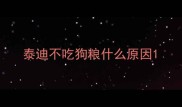 泰迪不吃狗粮什么原因