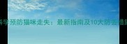 科学预防猫咪走失最新指南及10大防丢措施