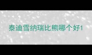 泰迪雪纳瑞比熊哪个好