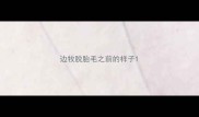 边牧脱胎毛之前的样子