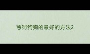 惩罚狗狗的最好的方法