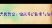 混血拉布拉多犬优势全健康养护指南与性格特点大公开
