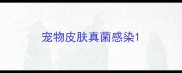 宠物皮肤真菌感染