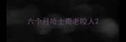 六个月哈士奇老咬人