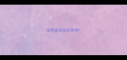 宠物基础知识教育