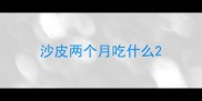 沙皮两个月吃什么