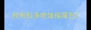 拉布拉多吃饭摇尾巴