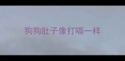 狗狗肚子像打嗝一样