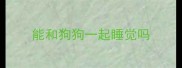能和狗狗一起睡觉吗