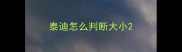 泰迪怎么判断大小