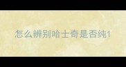 怎么辨别哈士奇是否纯