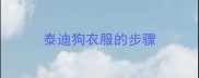 泰迪狗衣服的步骤