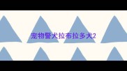 宠物警犬拉布拉多犬