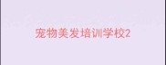 宠物美发培训学校