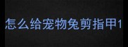 怎么给宠物兔剪指甲