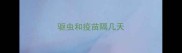 驱虫和疫苗隔几天